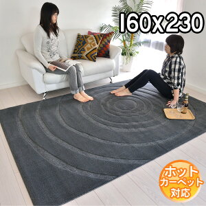 C|[gO IVȃfUCŃ_ȋԂo fUCO}bg 160×230 2.2 J[ybg O zbgJ[ybgΉ g[Ή BALTA VISIONA 0005990 O[ modernyba