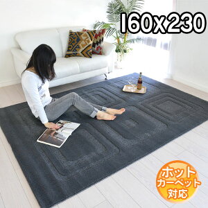 C|[gO IVȃfUCŃ_ȋԂo fUCO}bg 160×230 2.2 J[ybg O zbgJ[ybgΉ g[Ή BALTA VISIONA 0009990 O[ modernyba