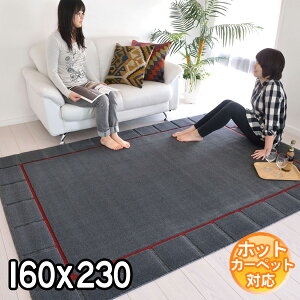 C|[gO IVȃfUCŃ_ȋԂo fUCO}bg 160×230 2.2 J[ybg O zbgJ[ybgΉ g[Ή BALTA VISIONA 0039199 O[ modernyba