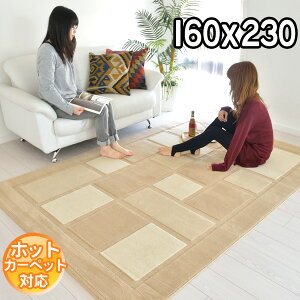 C|[gO IVȃfUCŃ_ȋԂo fUCO}bg 160×230 2.2 J[ybg O zbgJ[ybgΉ g[Ή BALTA VISIONA 4304079 x[W moderny