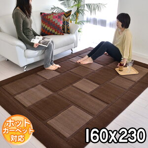 C|[gO IVȃfUCŃ_ȋԂo fUCO}bg 160×230 2.2 J[ybg O zbgJ[ybgΉ g[Ή BALTA VISIONA 4304084 modernybaz