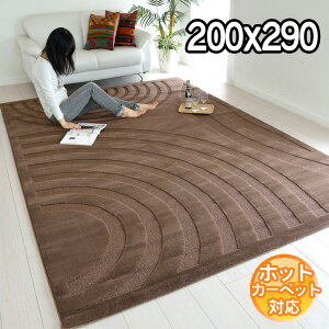 C|[gO IVȃfUCŃ_ȋԂo fUCO}bg 200×290 3.5 J[ybg O zbgJ[ybgΉ g[Ή BALTA VISIONA 4309074 uE moderny