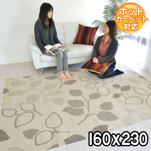 C|[gO F̑l_fUCO}bg xM[ 160×230 2.2 J[ybg xM[ O zbgJ[ybgΉ g[Ή BALTA JEWEL 77027069 modernybaz