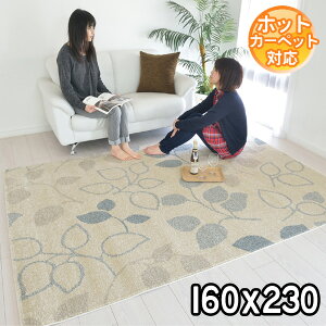 C|[gO F̑l_fUCO}bg xM[ 160×230 2.2 J[ybg xM[ O zbgJ[ybgΉ g[Ή BALTA JEWEL 77027266 modernybaz