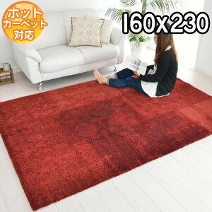 C|[gO _fUC  gR ؂₩ EBgD zbgJ[ybgΉ g[Ή H~t I[V[Y 160×230 2.2@` O~ BALTA ELEGANCE COSY 67041714 bh S&Cm