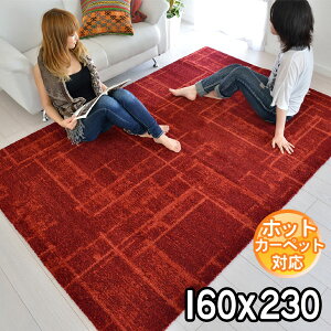 C|[gO gR _fUC͓I fUCO O160×230 2.2 J[ybg O zbgJ[ybgΉ g[Ή BALTA ELEGANCE COSY 67002174 bh S&Cmodern gaybaz