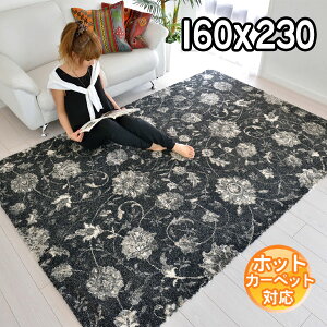 C|[gO gR _fUC͓I fUCO O160×230 2.2 J[ybg O zbgJ[ybgΉ g[Ή BALTA ELEGANCE COSY 67005341 ubN S&Cmodern gaybaz