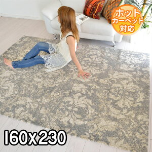 C|[gO gR _fUC͓I fUCO O160×230 2.2 J[ybg O zbgJ[ybgΉ g[Ή BALTA ELEGANCE COSY 67018451 O[ S&Cmodern gaybaz