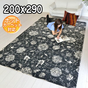 C|[gO gR _fUC͓I fUCO O200×290 3.5@d@fI@ J[ybg O zbgJo[Ή g[Ή BALTA ELEGANCE COSY 67005341 ubN S&Cmodern 