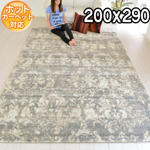 C|[gO gR _fUC͓I fUCO O200×290 3.5@z@閧̉ԉ@ J[ybg O zbgJo[Ή g[Ή BALTA ELEGANCE COSY 67018451 O[ S&Cmodern 