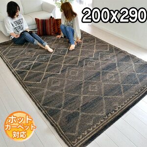 C|[gO gR _fUC͓I fUCO O200×290 3.5 J[ybg@O zbgJ[ybgΉ g[Ή BALTA ELEGANCE COSY 67113839 uE S&Cmodern gaybaz