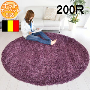 C|[gVM[O ~` 200×200 200R xM[ p[v F n OWA[ ؂₩ D ӂӂ  O}bg J[ybg BALTA SUPER SHAGGY 6500930 R&M S&Cmodernybaz