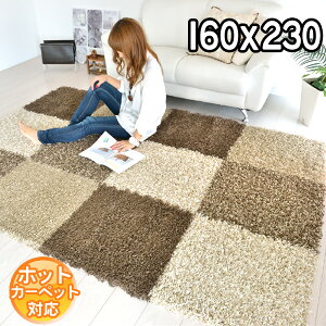 C|[gVM[O 160×230 2.2 ` xM[ x[W s͗l lp _  l̋ ӂӂ  O}bg J[ybg BALTA SUPER SHAGGY 6566576 R&M S&Cmodernybaz