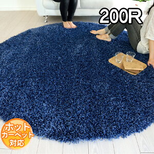 C|[gO VM[O u[ xM[ Ԃ㎿ɍʂ郉O}bg 200R ~` 200×200 J[ybg xM[ ۃO}bg zbgJ[ybgΉ g[Ή BALTA SUPER SHAGGY 6500090 R&M@