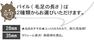 ムートンの取り扱いについてです。こちらの商品はケース付きで保管できます。天然革皮なのでムートンラグのサイズに数センチのずれがありますのでご了承ください。