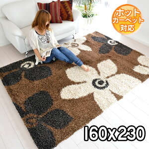 �C���|�[�g���O �V���M�[���O�}�b�g �x���M�[�� ���O�}�b�g ������� �V���v���ȃf�U�C�� ���_�����O 160×230 ��2.2�� ���F�J�[�y�b�g �x���M�[���O BALTA EXPO SHAGGY 5678473 �u���E�� modern�yba�z