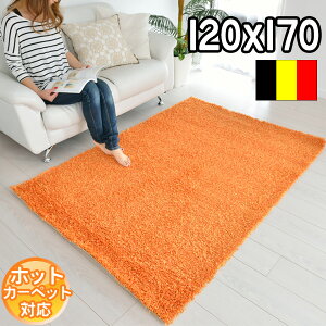 C|[gO VM[O 120×170 1 ` xM[ O}bg zbgJo[Ή  n IVCeA 킢 ӂӂ IW q J[ybg BALTA EXPO SHAG