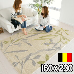 C|[gO [t u₩  _ EBgD O i` Vv 킢 zbgJo[Ή g[Ή t x[W xM[ 160×230 2.2 ` O~ B