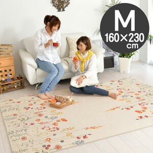 O}bg zbgJ[ybg g[Ή k IV 160x230 ` 2.2 AC{[ h ϋv 킢 Ԗ͗l JWA t[O _CjO tėp xM[ イ O