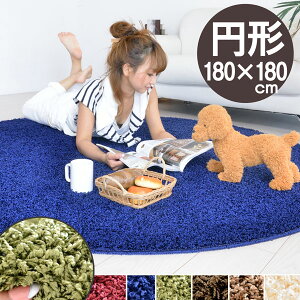 hVM[O 180×180 ~` h_j R zbgJ[ybgΉ ی^ O}bg Ԃ q rO ntďH~p J[ybg AC{[ uE x[W lCr[ O[