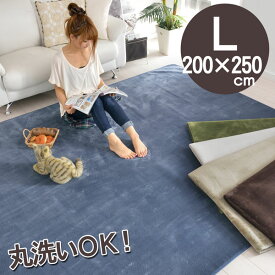 ラグ 洗える(ウォッシャブル) 200×250cm 長方形 約3畳 ラグマット 防ダニ 抗菌 オシャレインテリア 無地(ブラウン・ベージュ・アイボリー・ブルー・グリーン) シンプル カーペット 折り畳み 軽量 北欧 モダン ホットカーペット対応 床暖房対応春夏秋冬用 ポニー【ik】