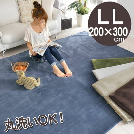 ラグ 洗える(ウォッシャブル) 200×300cm 長方形 約4畳 ラグマット 防ダニ 抗菌 オシャレインテリア 無地(ブラウン・ベージュ・アイボリー・ブルー・グリーン) シンプル カーペット 折り畳み 軽量 北欧 モダン ホットカーペット対応 床暖房対応春夏秋冬用 ポニー【ik】