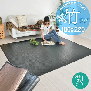 180×220 O}bg tėp J[ybg O  Vv   AWA VRf E^ rO Ԃ q _[NuE ubN J[O aeCXg 