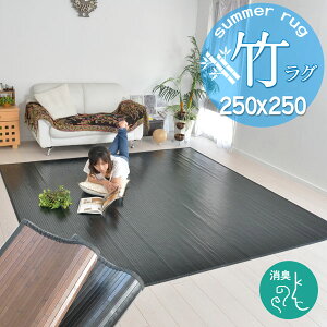 250×250 O}bg tėp J[ybg O  Vv   AWA VRf E^ rO Ԃ q _[NuE ubN J[O aeCXg 