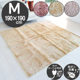 饰 ߥå顼 㥮饰   ɥ  ɽ դդ  ˼ ۥåȥڥåб Կ ̵Ĵ 饰ޥå (֥åɥ)  ֥饦 2 190190cm ޥhg(R-0167201)