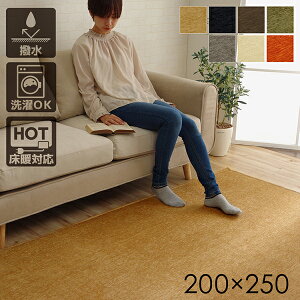 O 􂦂  VFj[D 3 200×250cm ` Z ёZ 傫 ې ~ l炵  Vітoɂ RpNg [ I[V[Y zbgJ[ybgΉ 