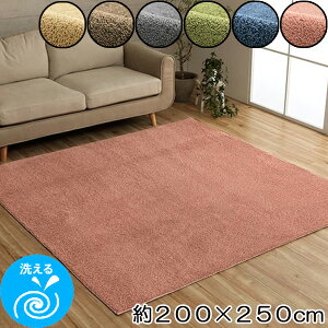 O ܂肽 VM[ ` 3 200×250cm ې @Ő􂦂 ~ RpNg I[V[Y zbgJ[ybgΉ g[Ή n Vv  q rO