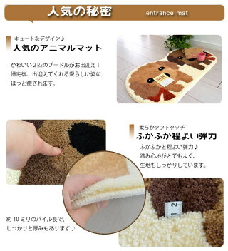 かわいい玄関マット♪手洗いOK