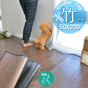 |}bg 50×200 Lb`}bg tėp O}bg }bg  Vv   AWA VRf E^ rO Ԃ q m Vv J[}bg _[N