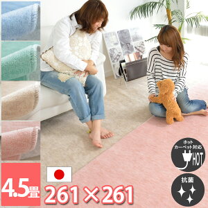 J[ybg 4.5 4.5 { イ   g[Ή nT~Ő؂ O a  ̏ɕ~ t[O zbgJ[ybgΉ zR z _CjO O~ t