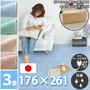 y܂肽ݔpz J[ybg 3 3 J[ybg O~ 176×261cm ]ˊԁiRہEgΉEzbgJ[ybgΉE݂͂Ő؂J[ybgj イ 킢isN[