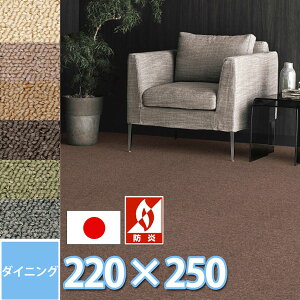 TQc _CjO O O~ 220×250cm ` 6l|e[up h_j R h Voɂ n͖ n ۊ { 6FWJ I[V[Y [vpC lɂ₳