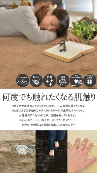 東洋紡フィーノを使用。極上の肌触りが実感できる6帖サイズカーペット
