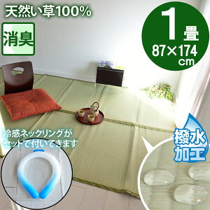 y⊴lbNOtz1 ̏ɕ~ SU  }bg ~  p O ]ˊ 1(87×174)  䑐 Ђ  ⊴ Zbgi dC㍂΍ GR ECO SDGs ėp CO