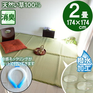 y⊴lbNOtz2 ̏ɕ~ SU  }bg ~  p O ]ˊ 2(174×174)  䑐 Ђ  ⊴ Zbgi dC㍂΍ GR ECO SDGs ėp C