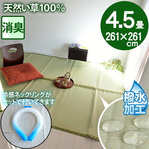 y⊴lbNOtz4.5 ̏ɕ~ SU  }bg ~  p O ]ˊ 4.5(261×261)  䑐 Ђ  ⊴ Zbgi dC㍂΍ GR ECO SDGs ėp 