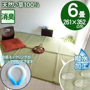 y⊴lbNOtz6 ̏ɕ~ SU  }bg ~  p O ]ˊ 6(261×352)  䑐 Ђ  ⊴ Zbgi dC㍂΍ GR ECO SDGs ėp C