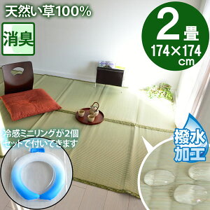 y⊴~jO2tz̏ɕ~ SU  }bg 2 ~  p O ]ˊ 2(174×174)  䑐 Ђ  ⊴ Zbgi dC㍂΍ GR ECO SDGs ėp CO