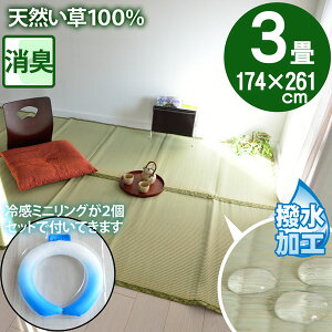 y⊴~jO2tz̏ɕ~ SU  }bg 3 ~  p O ]ˊ 3(174×261)  䑐 Ђ  ⊴ Zbgi dC㍂΍ GR ECO SDGs ėp CO