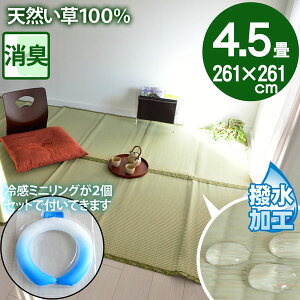 y⊴~jO2tz̏ɕ~ SU  }bg 4.5 ~  p O ]ˊ 4.5(261×261)  䑐 Ђ  ⊴ Zbgi dC㍂΍ GR ECO SDGs ėp C