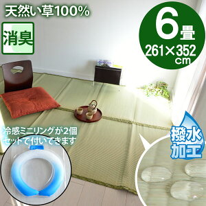 y⊴~jO2tz̏ɕ~ SU  }bg 6 ~  p O ]ˊ 6(261×352)  䑐 Ђ  ⊴ Zbgi dC㍂΍ GR ECO SDGs ėp CO