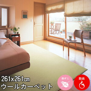 [݂̂A[XJ[̃E[100 4.5J[ybg 261×261(]ˊ4.5O~j唻` j[[Q h d Չ h h_j R J[ybg O E[}[NttďH~p yaw