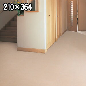 様々なインテリア空間に合わせやすいカラー 密度感たっぷりのウール100% 長4.5帖カーペット 210×364(中京間長4.5畳絨毯) ニューアスノーブル 防炎 制電 遮音 防虫 防ダニ 抗菌 ラグ ウールマー