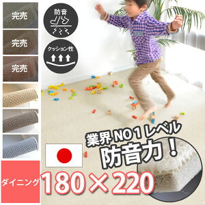 h _CjOO zCg  q  J[ybg Չ  }V O~  ΍ Ap[g L-35 t[Jbg x[W/uE/O[  イ 180×220cm  h Ռ 