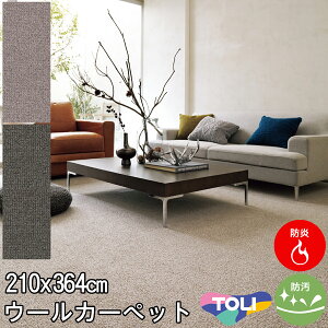 東リ 太さの違うパイルが表情豊かなウールカーペット 長4.5帖絨毯 中京間長4.5畳 210×364 エトウィール8800 防炎 制電 防汚 ホットカーペットカバー対応 カーペット ラグ春夏秋冬用 【東リ】