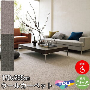  ̈ႤpC\LȃE[J[ybg 3O~ cn3 170×255 GgEB[8800 h d h zbgJ[ybgJo[Ή J[ybg OtďH~p yz